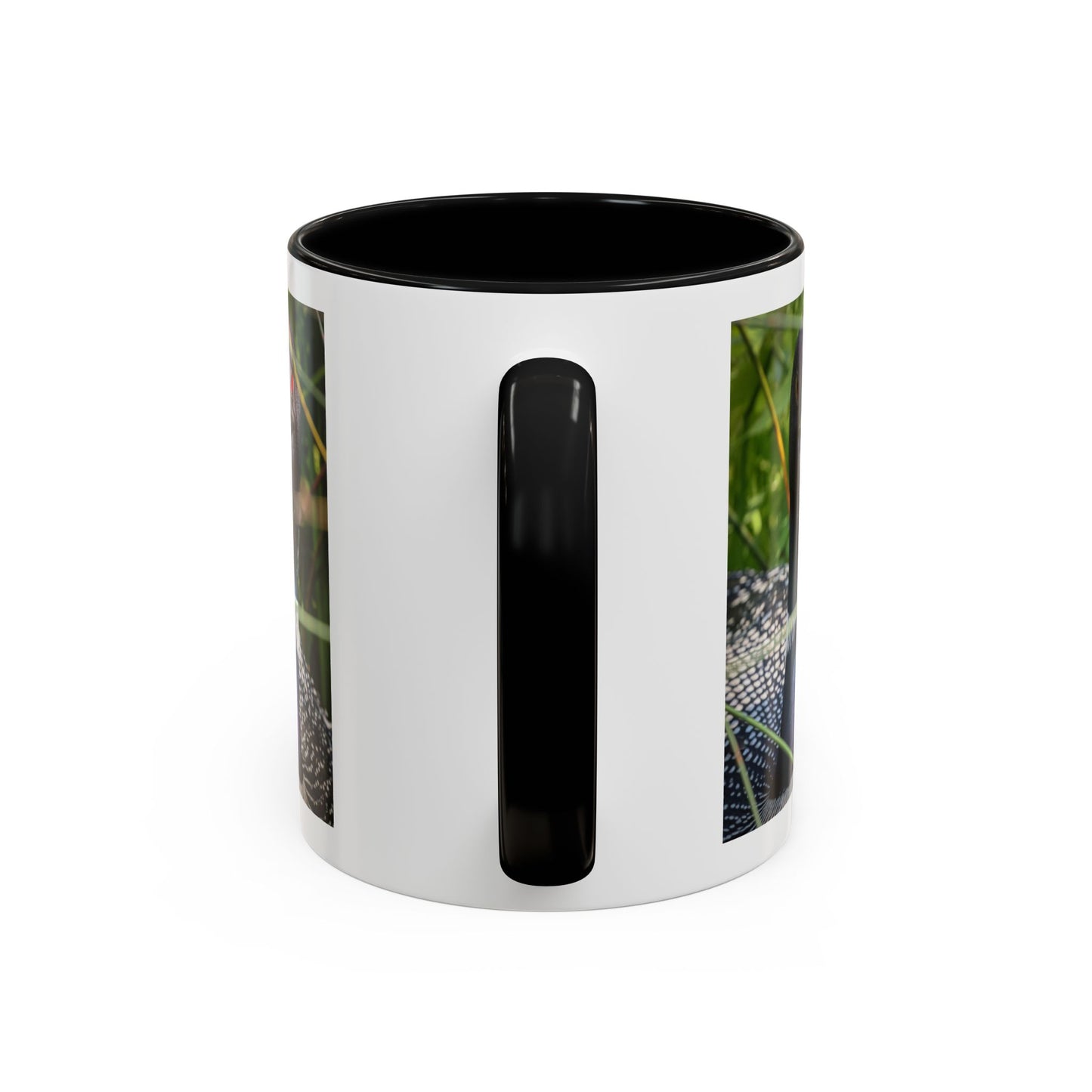Common Loon Photo Accent Coffee Mug (11/15oz)