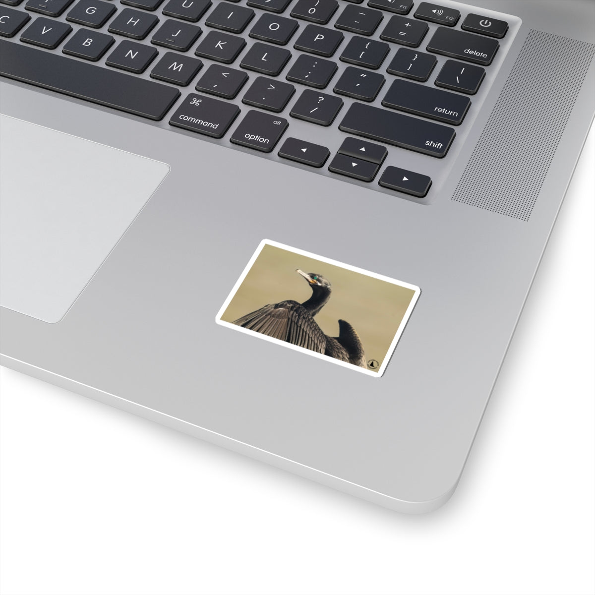 Cormorant Photo Sticker — Wildlife Kiss-Cut Vinyl Sticker