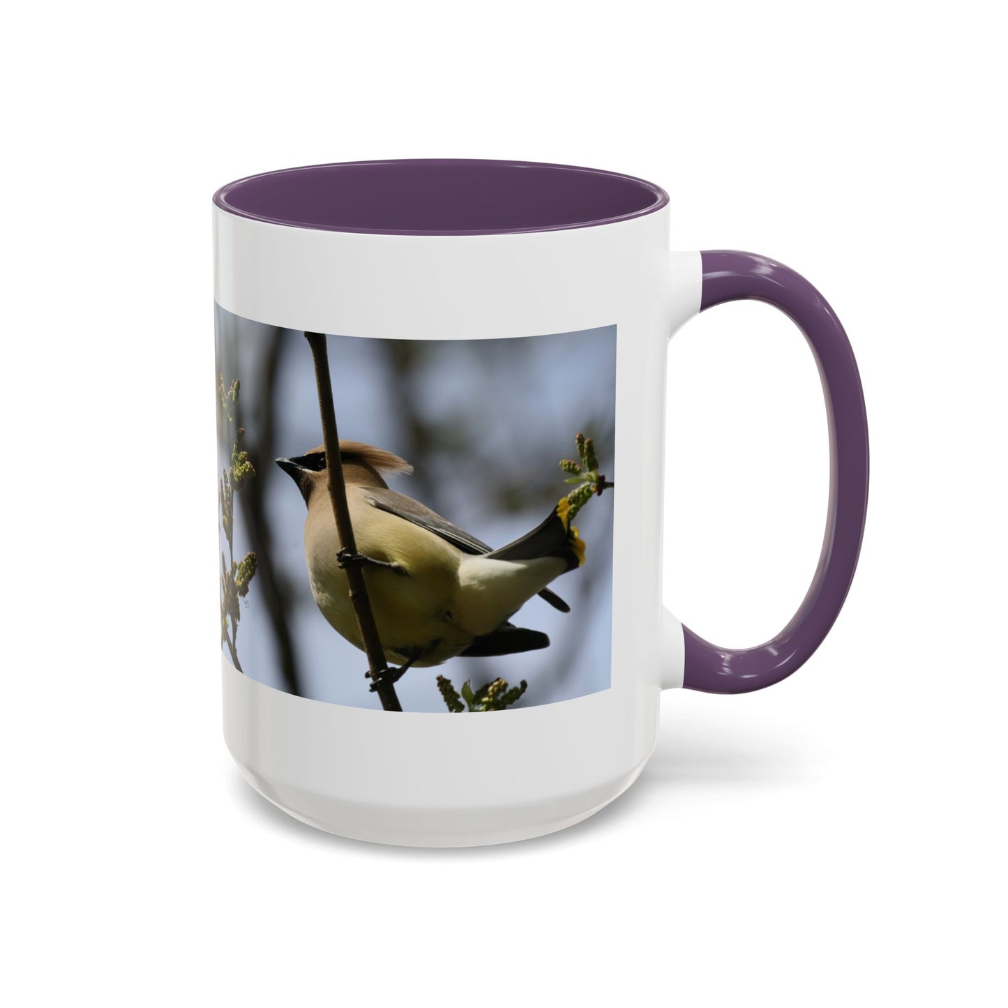 Cedar Waxwing Bird Photo Accent Coffee Mug