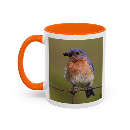 Bluebird Photo Coffee Mug — Eastern Bluebird with Insect Accent Mug (11/15 oz)
