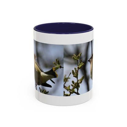 Cedar Waxwing Bird Photo Accent Coffee Mug
