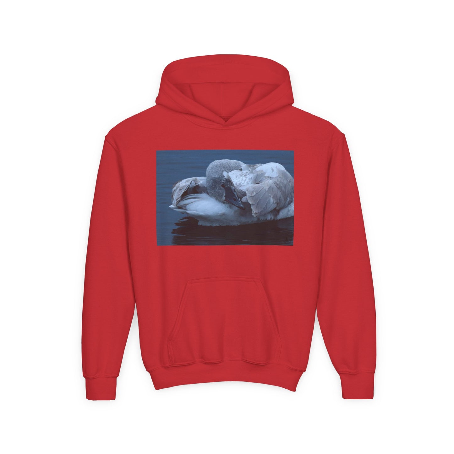 Youth Hoodie with Sleeping Swan Photo — Cozy Wildlife Sweatshirt