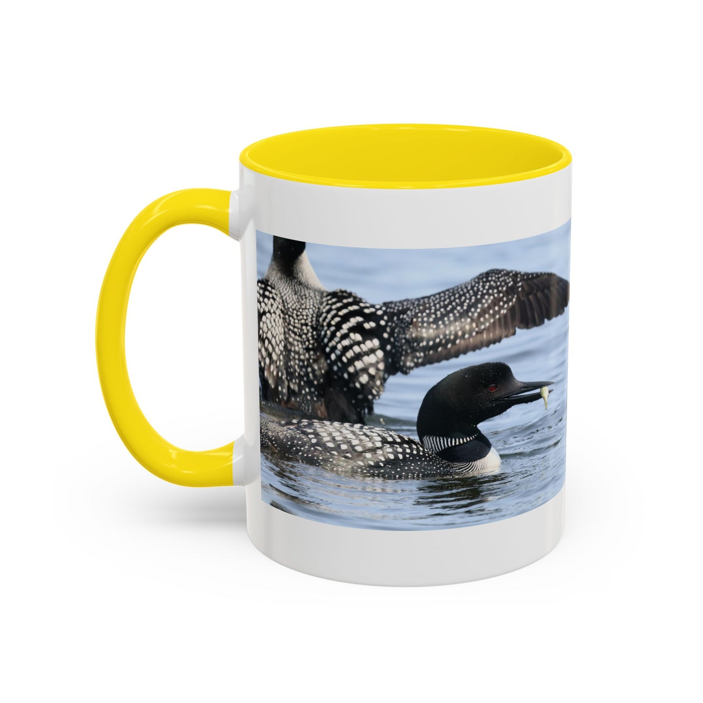 Common Loon Accent Coffee Mug – Wildlife Photography Bird Lover Gift (11/15oz)