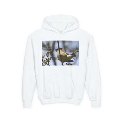 Cedar Waxwing Bird Hoodie | Youth Hooded Sweatshirt