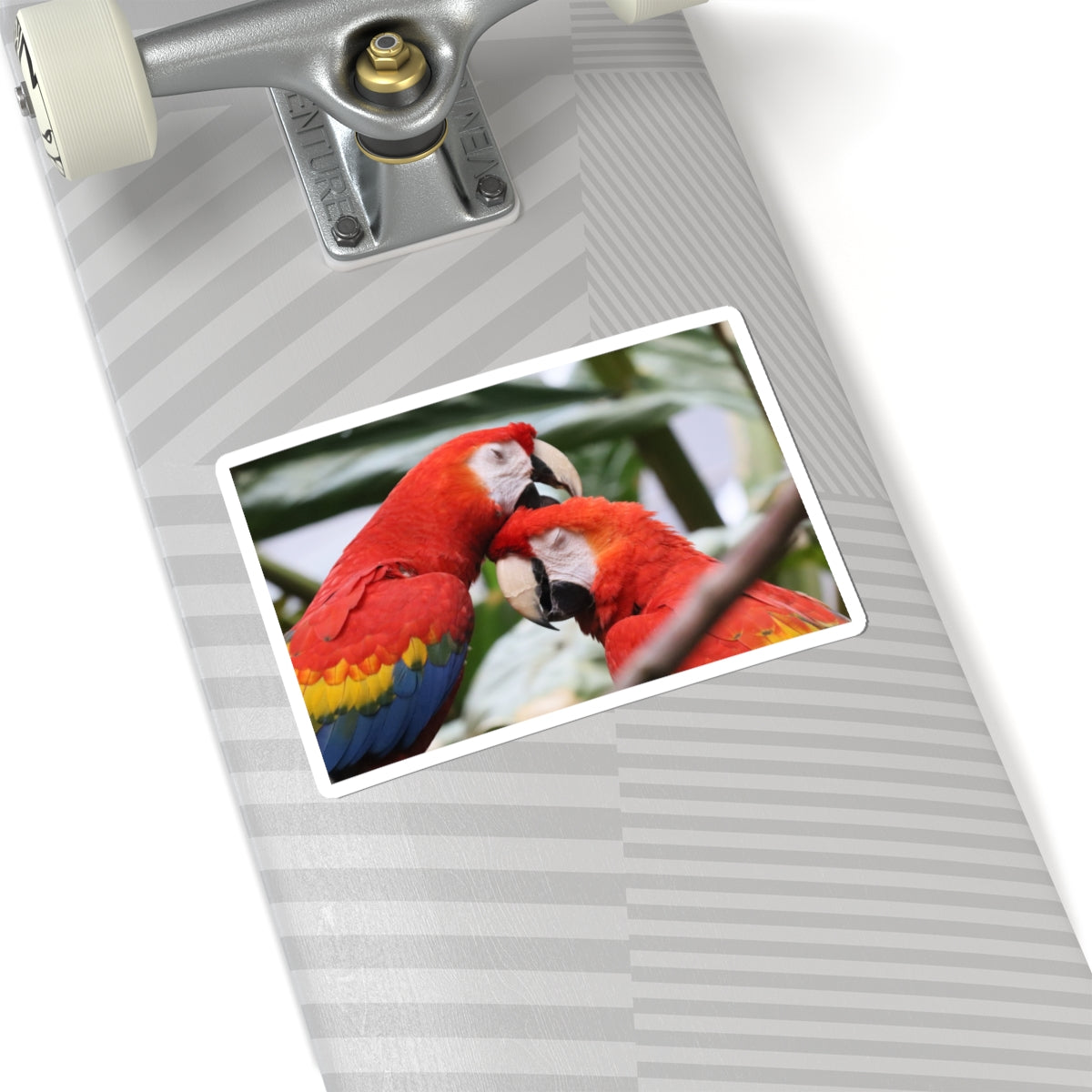 Scarlet Macaw Kiss-Cut Sticker — Tropical Parrot Laptop Decal
