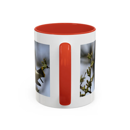 Cedar Waxwing Bird Photo Accent Coffee Mug