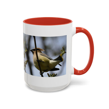 Cedar Waxwing Bird Photo Accent Coffee Mug