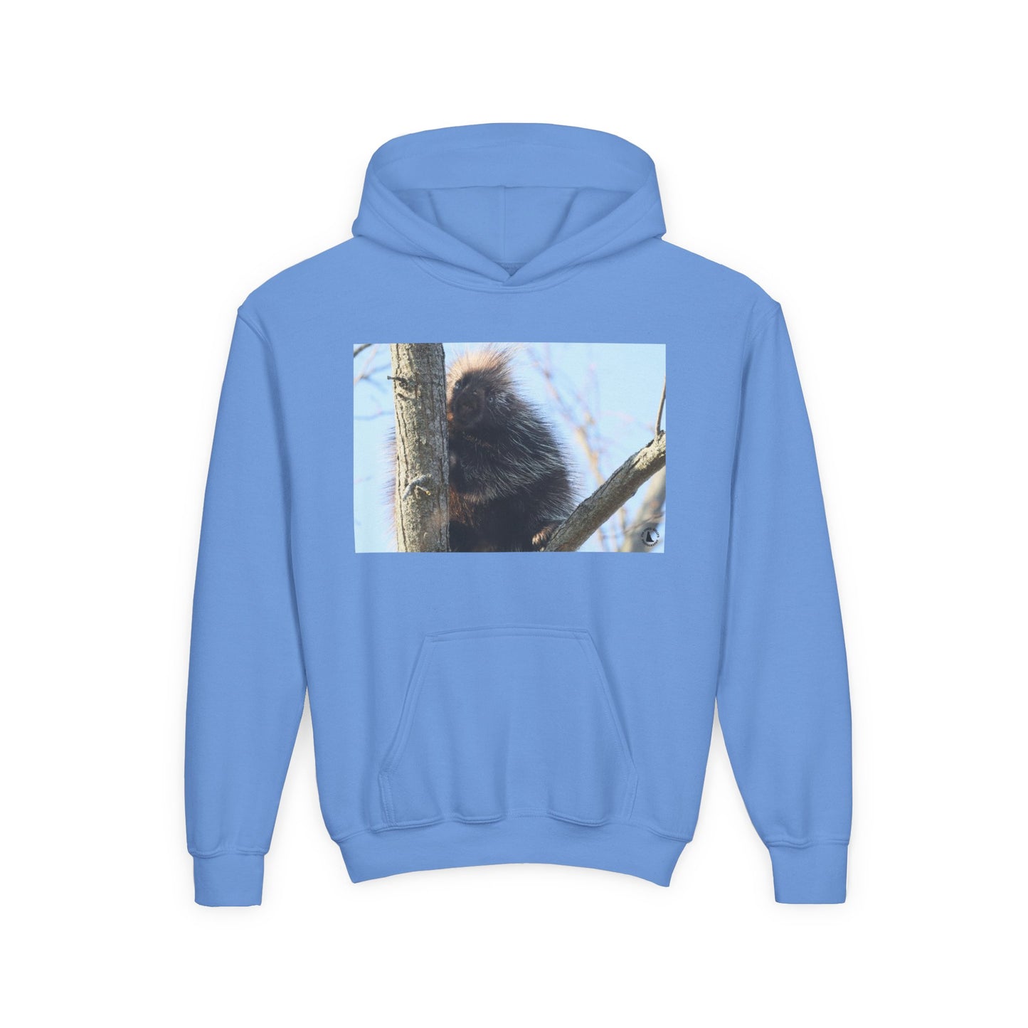 Youth Hoodie with Tree-Climbing Porcupine Photo – Cute Wildlife Kids Sweatshirt