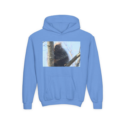 Youth Hoodie with Tree-Climbing Porcupine Photo – Cute Wildlife Kids Sweatshirt