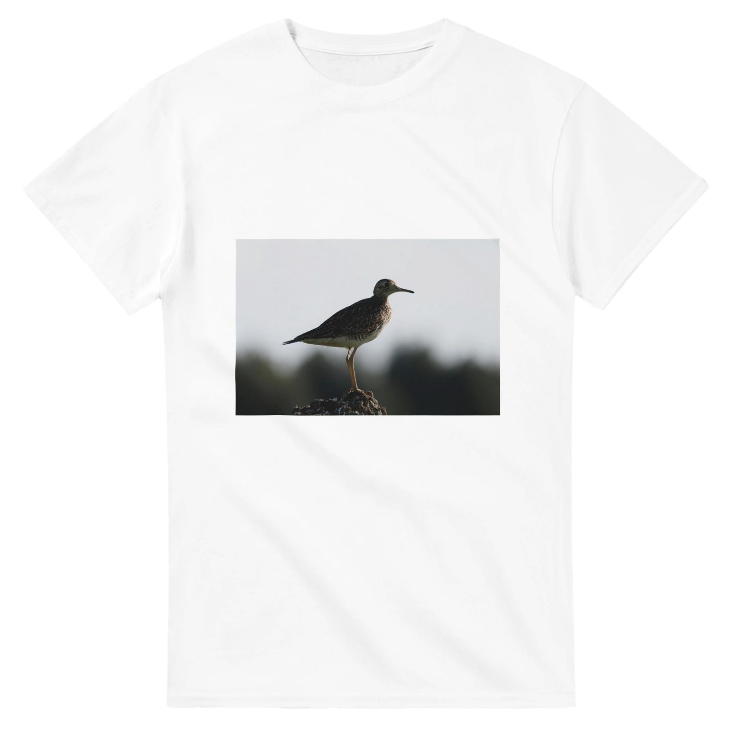 16aa06c1-07db-4d87-9948-8b8df4bc4891