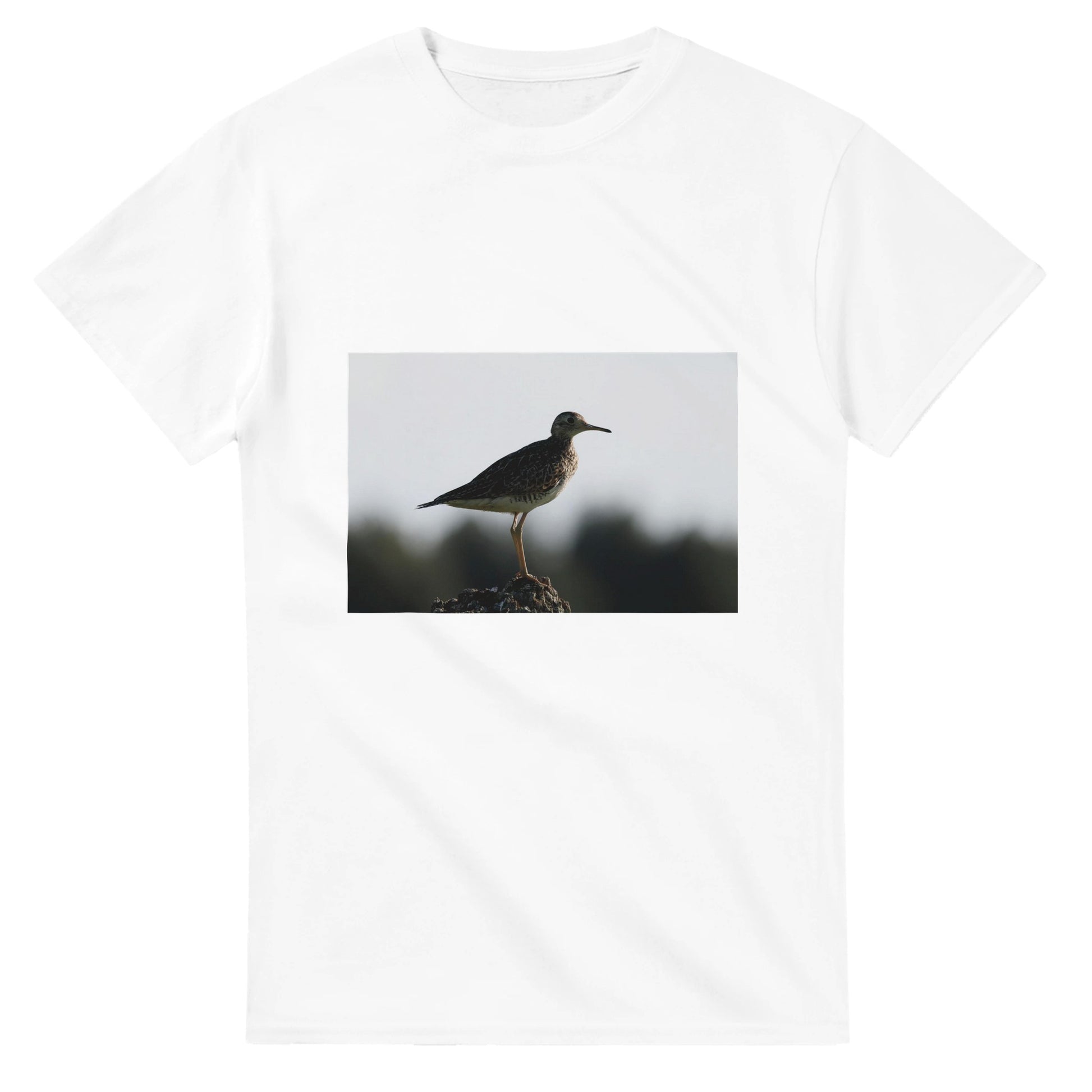 16aa06c1-07db-4d87-9948-8b8df4bc4891