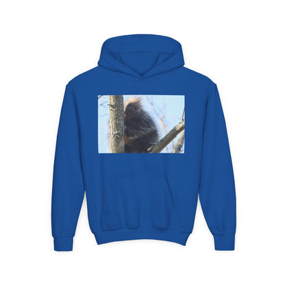 Youth Hoodie with Tree-Climbing Porcupine Photo – Cute Wildlife Kids Sweatshirt