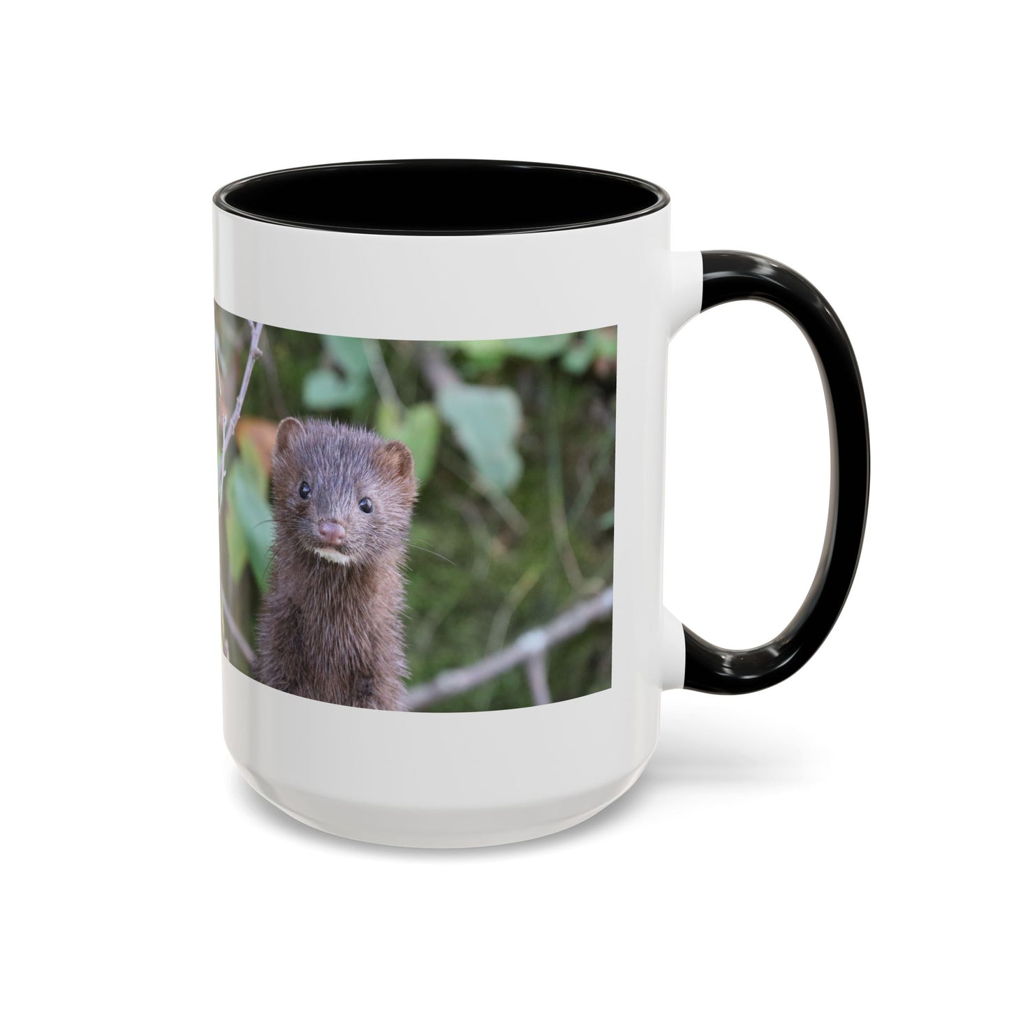 Cute Mink Photo Accent Mug – Wildlife Photography Coffee Cup (11/15 oz)