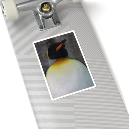 King Penguin Photo Kiss-Cut Sticker — Cute Wildlife Laptop Decal