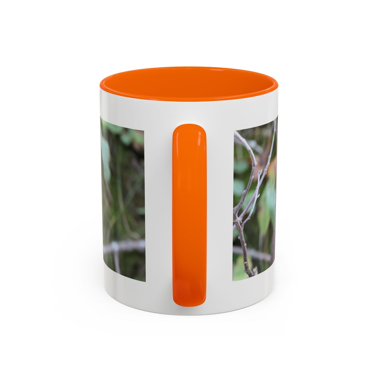 Cute Mink Photo Accent Mug – Wildlife Photography Coffee Cup (11/15 oz)