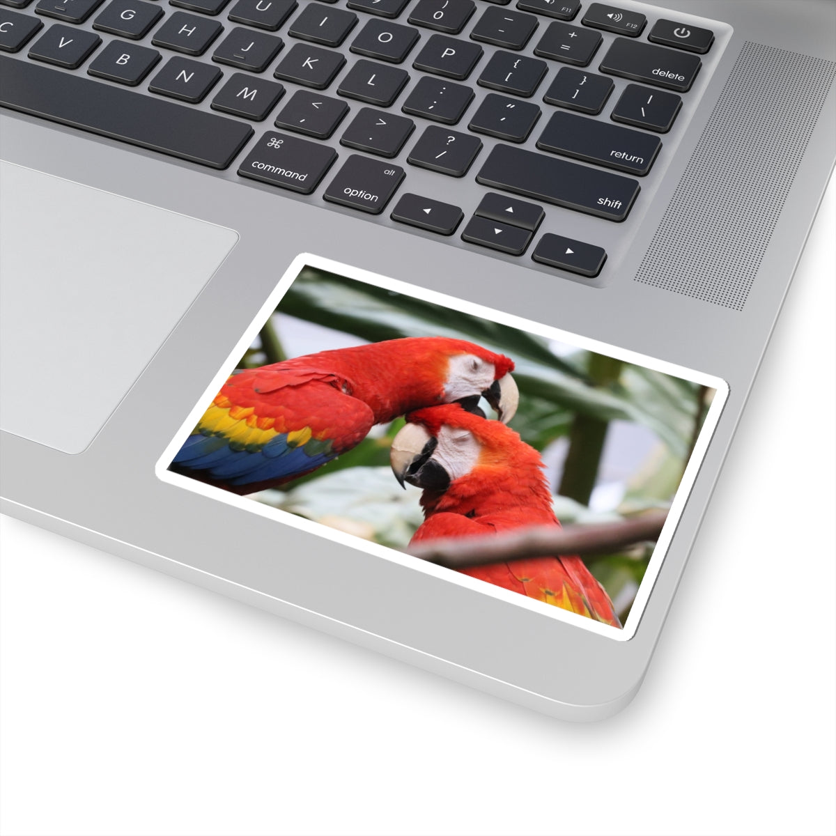 Scarlet Macaw Kiss-Cut Sticker — Tropical Parrot Laptop Decal