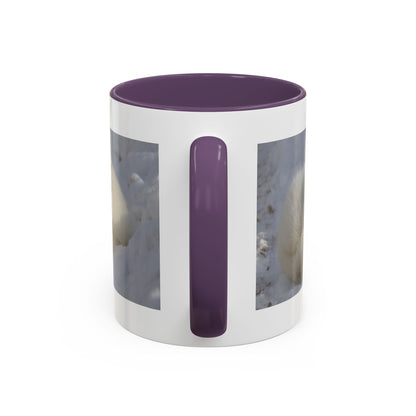 Arctic Fox Photo Accent Coffee Mug – Winter Wildlife Ceramic Mug (11/15oz)