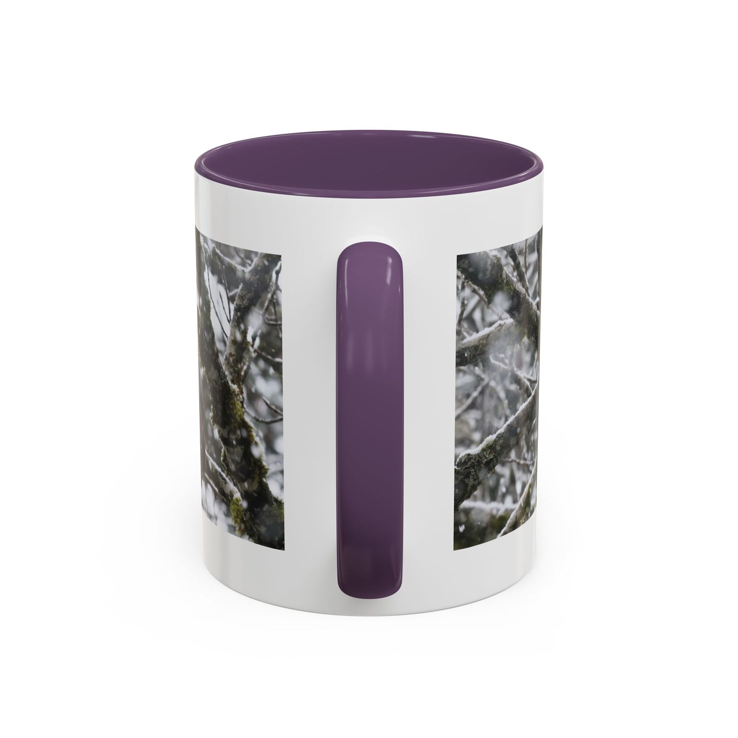 Bald Eagle Winter Photo Coffee Mug — 11/15oz Accent Mug