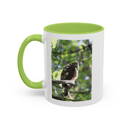 Hawk Perch Accent Coffee Mug (11/15 oz) – Nature Bird Photography