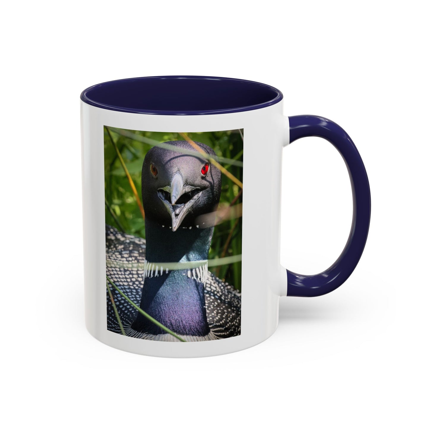 Common Loon Photo Accent Coffee Mug (11/15oz)