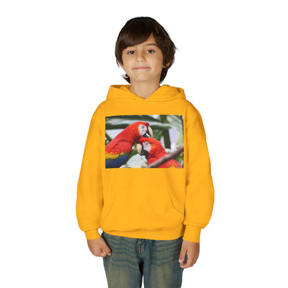 Youth Parrot Hoodie – Colorful Scarlet Macaw Kids Pullover