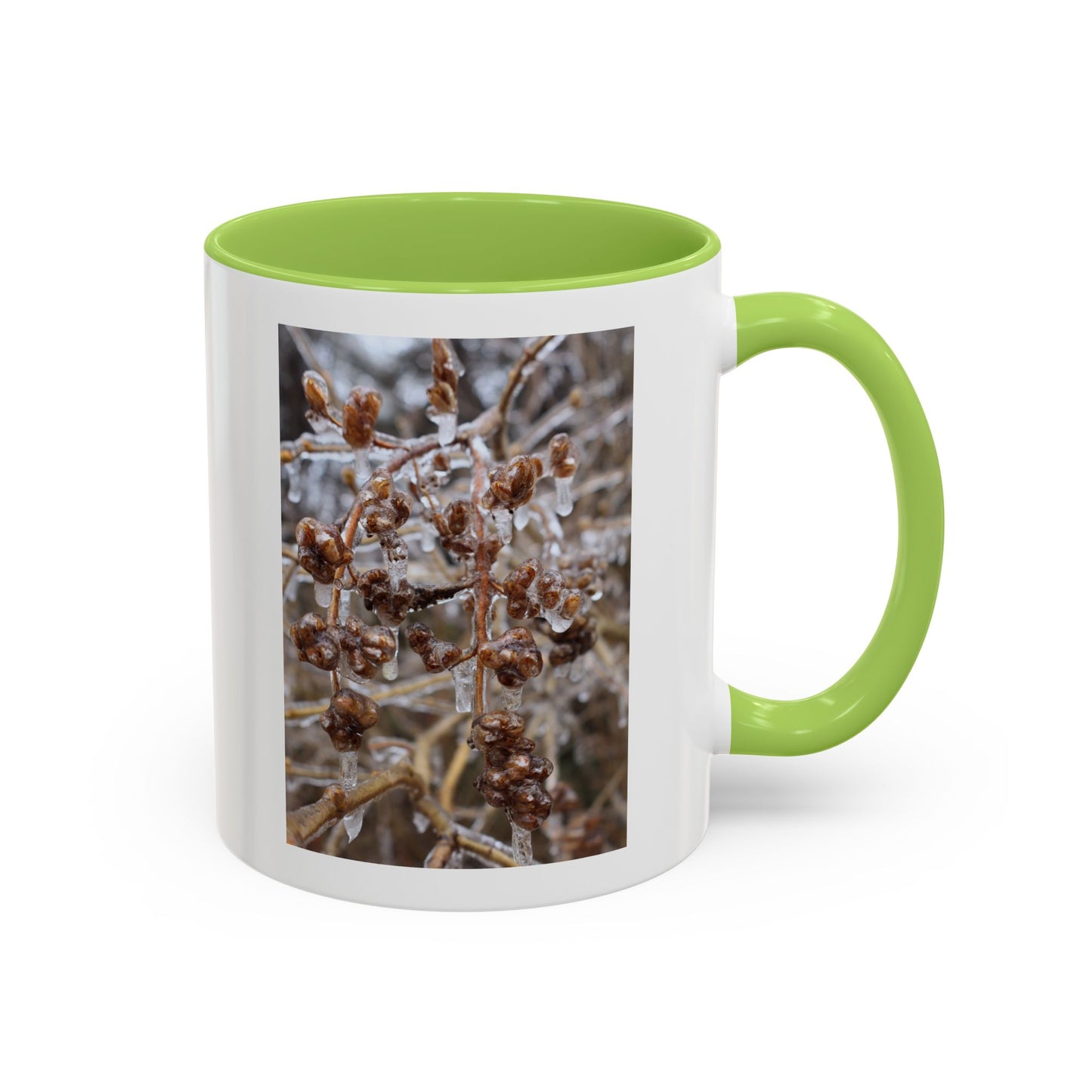Ice-Coated Berries Accent Coffee Mug (11/15 oz) — Winter Nature Photo