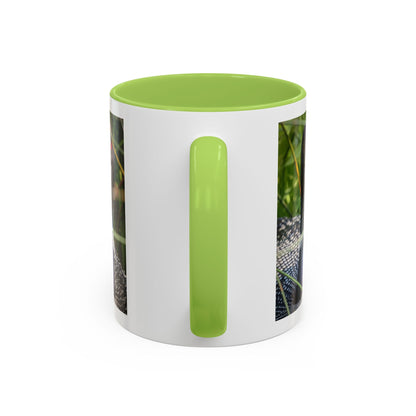 Common Loon Photo Accent Coffee Mug (11/15oz)