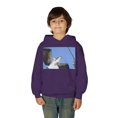 Youth Osprey Photo Hoodie — Kids Birdwatching Nature Pullover