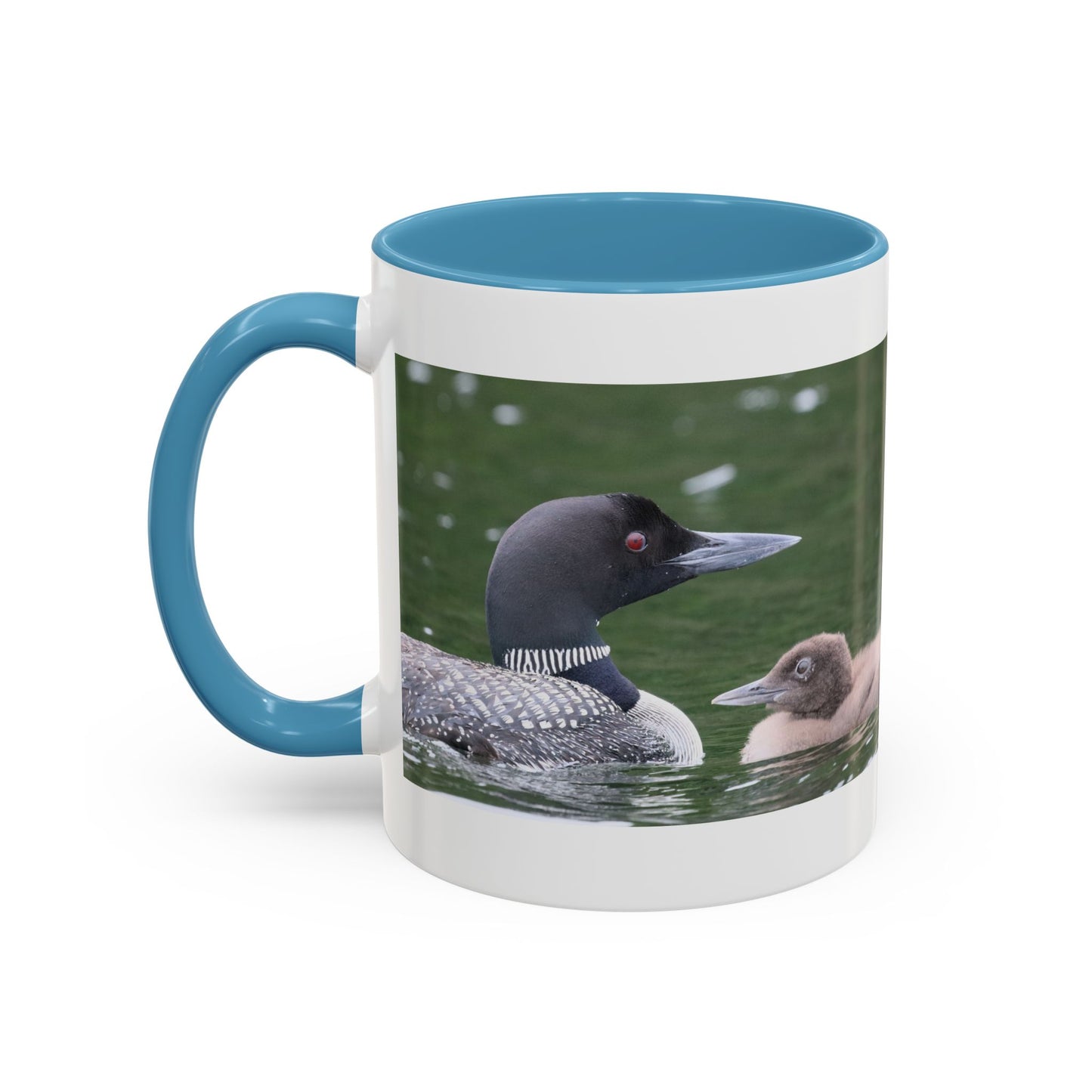 Loon Family Accent Coffee Mug – Wildlife Photo Tea Mug (11/15 oz)
