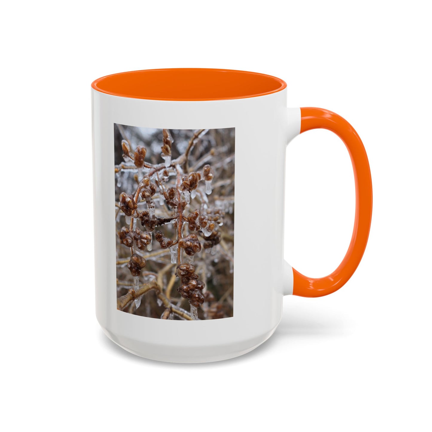 Ice-Coated Berries Accent Coffee Mug (11/15 oz) — Winter Nature Photo