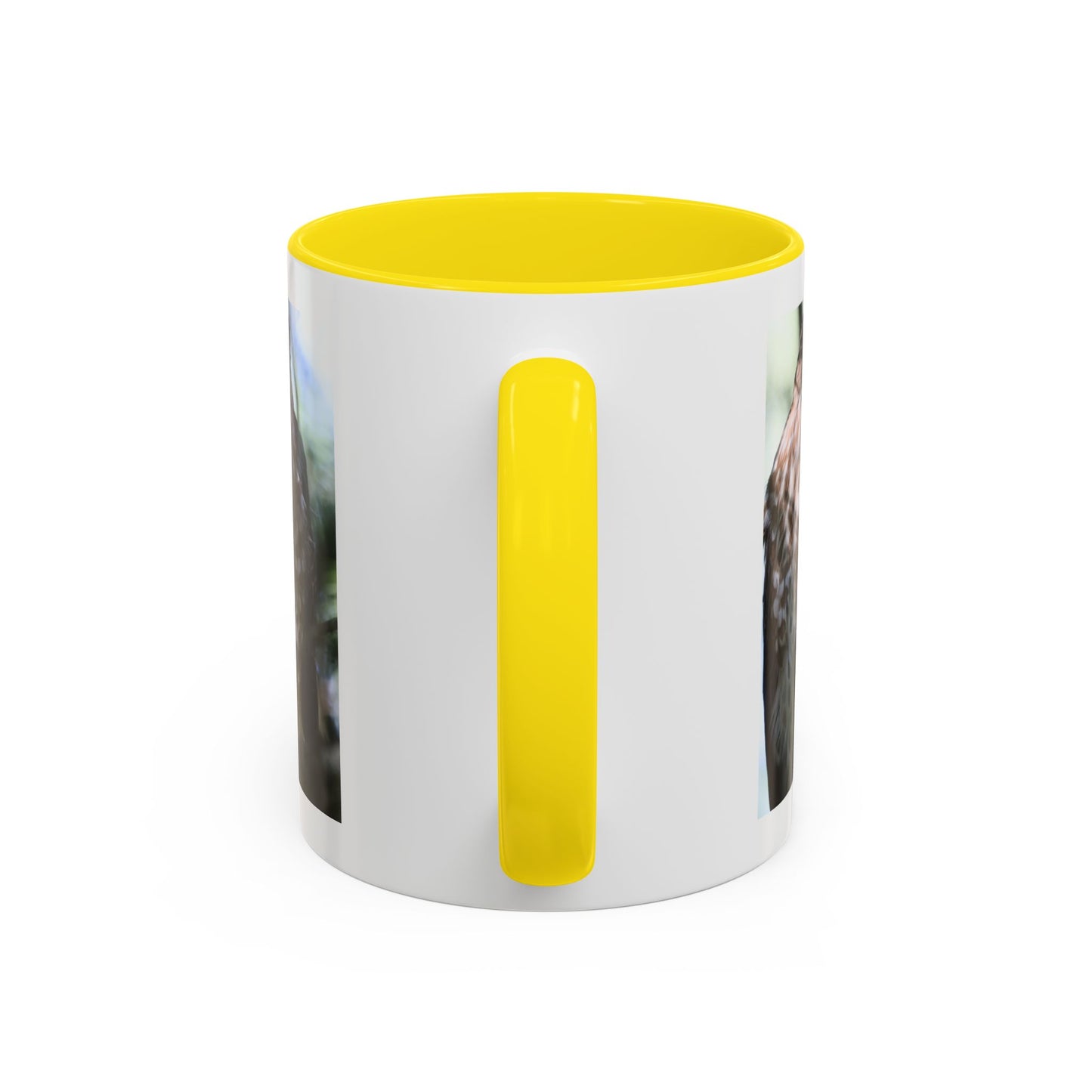 Hawk Photo Accent Coffee Mug — Birdwatcher Gift, 11/15oz