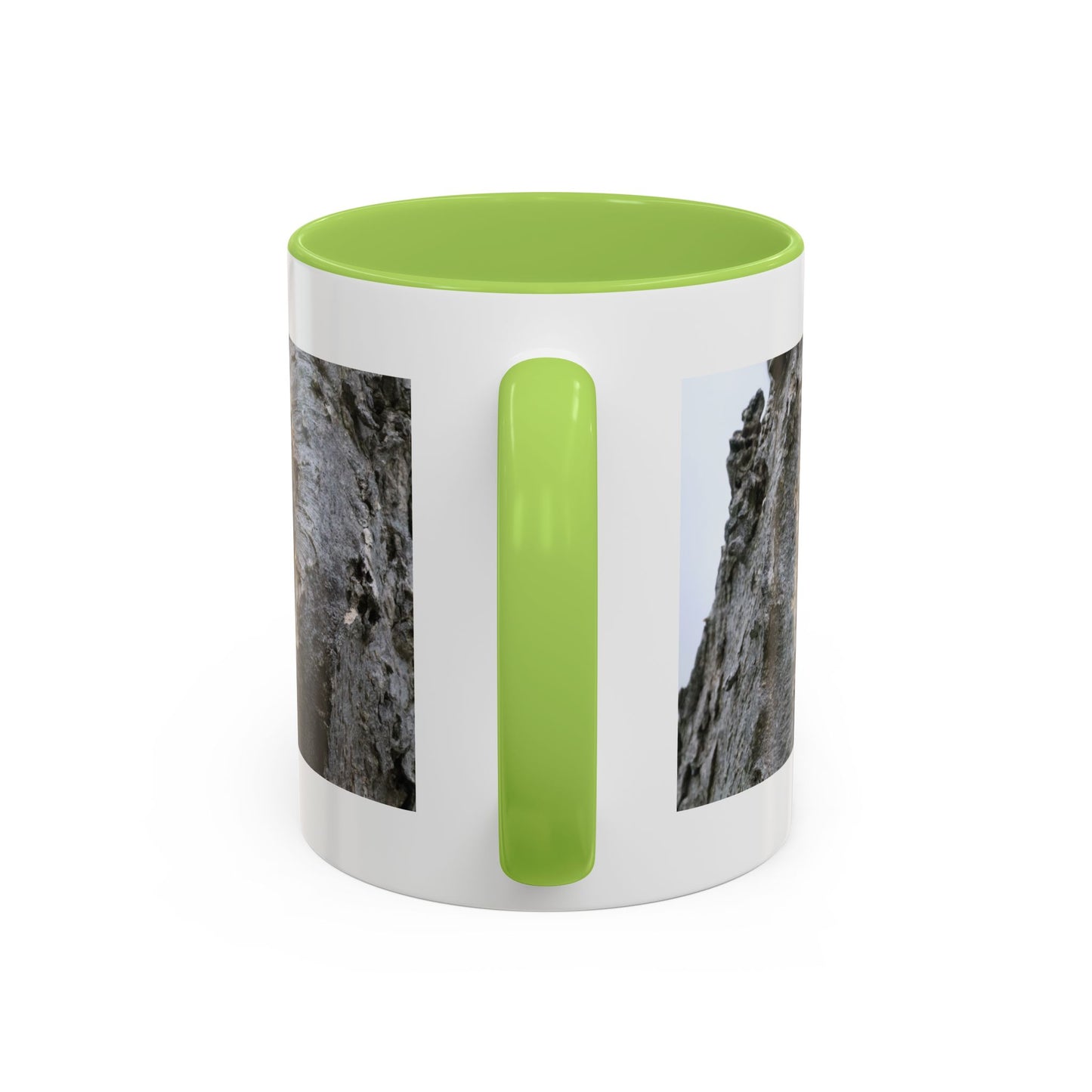 Bluebird in Tree Cavity Accent Coffee Mug — Nature Wildlife Ceramic Mug (11/15oz)