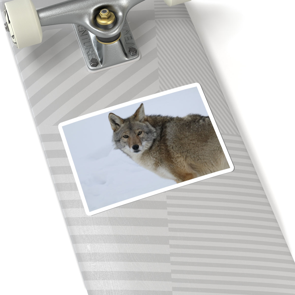 Coyote in Snow Kiss-Cut Sticker — Wildlife Laptop Decal