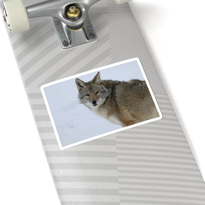 Coyote in Snow Kiss-Cut Sticker — Wildlife Laptop Decal