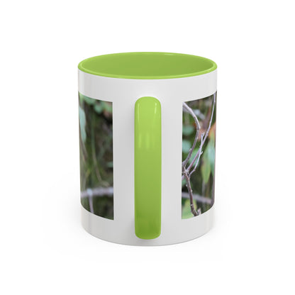 Cute Mink Photo Accent Mug – Wildlife Photography Coffee Cup (11/15 oz)