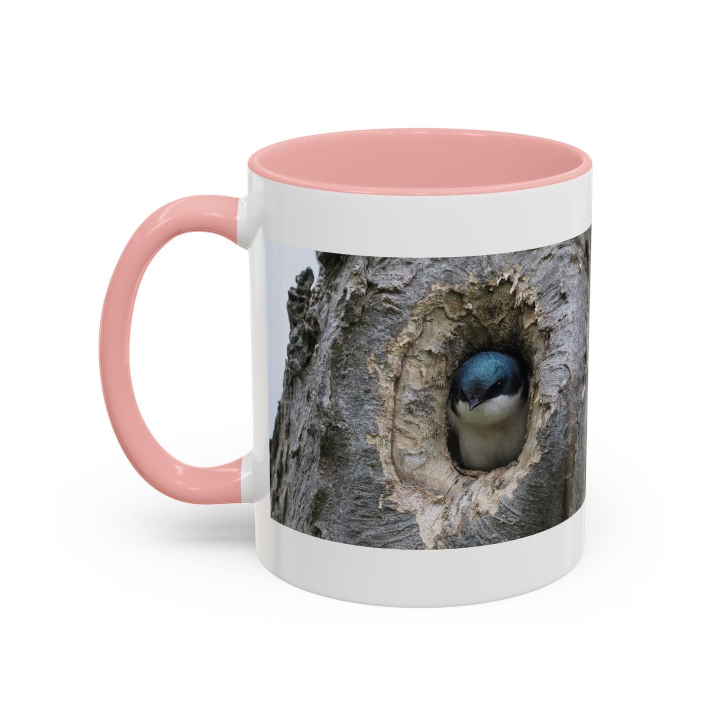 Bluebird in Tree Cavity Accent Coffee Mug — Nature Wildlife Ceramic Mug (11/15oz)
