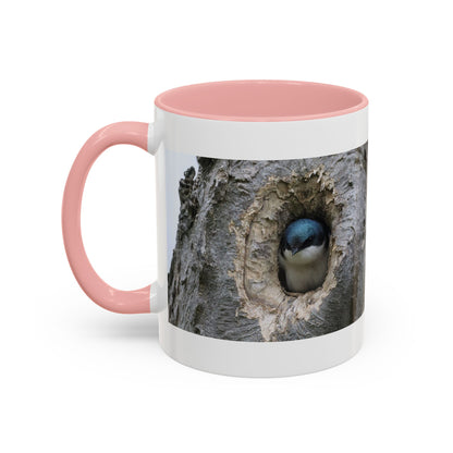 Bluebird in Tree Cavity Accent Coffee Mug — Nature Wildlife Ceramic Mug (11/15oz)