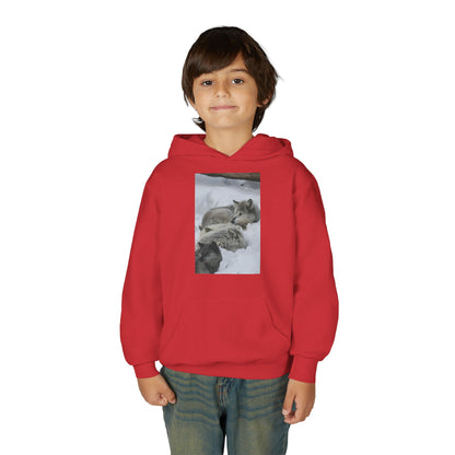 Sleeping Foxes Youth Hoodie | Wildlife Photography, Snow Scene