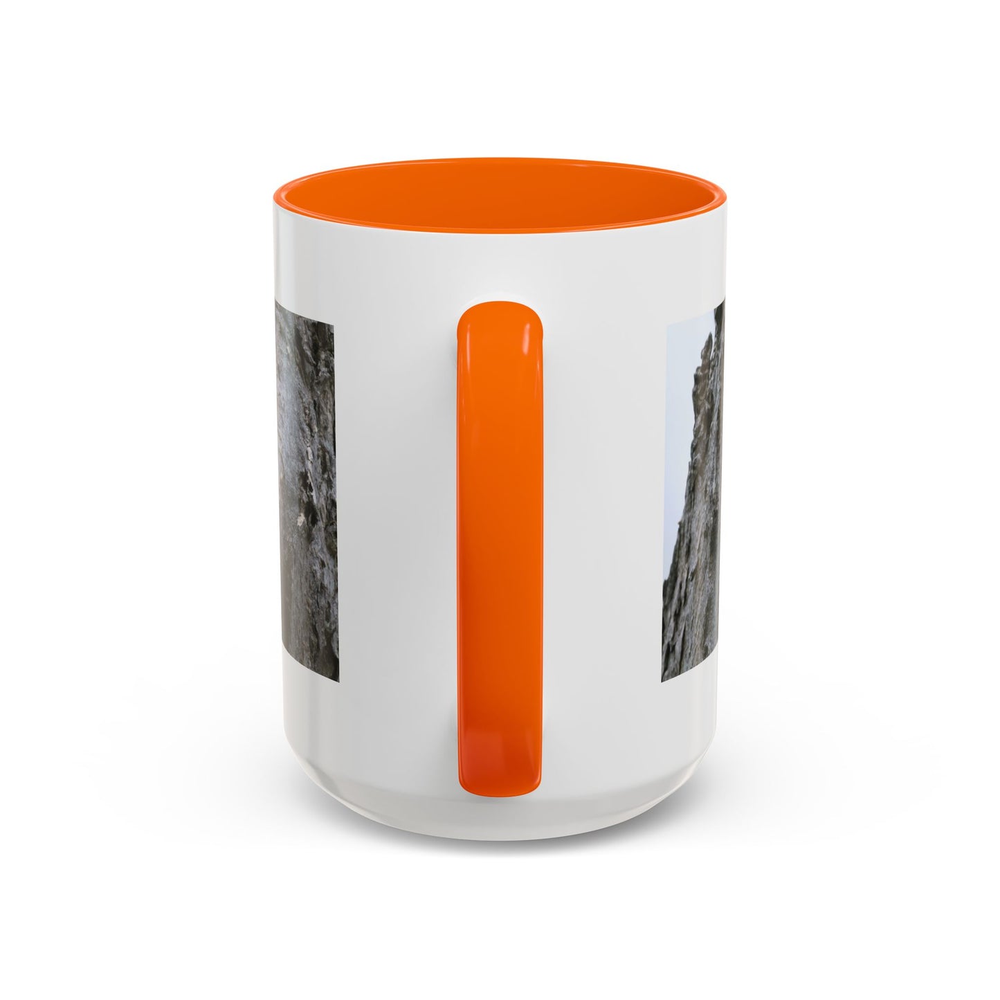 Bluebird in Tree Cavity Accent Coffee Mug — Nature Wildlife Ceramic Mug (11/15oz)