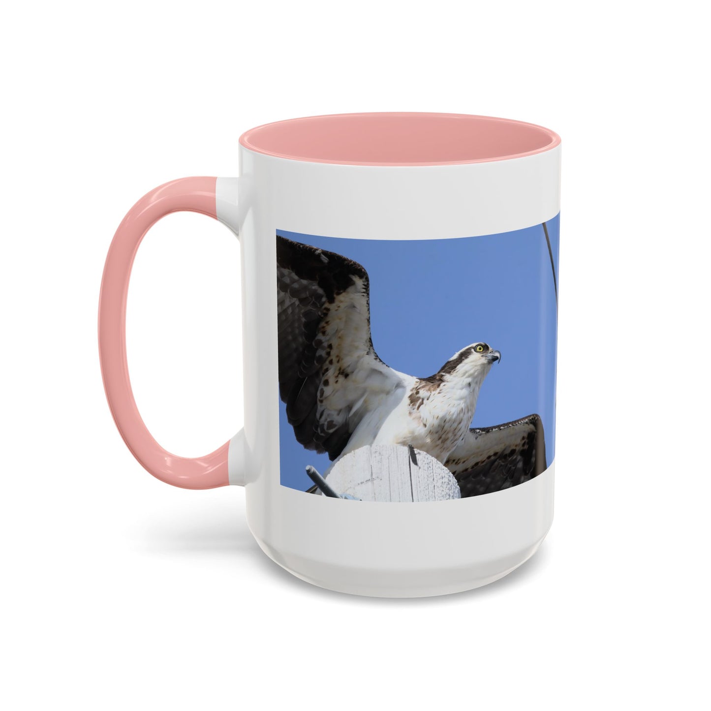 Osprey Photo Accent Coffee Mug – Wildlife Bird Photography Drinkware (11/15 oz)