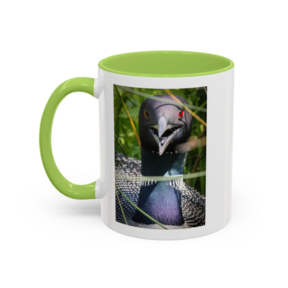 Common Loon Photo Accent Coffee Mug (11/15oz)