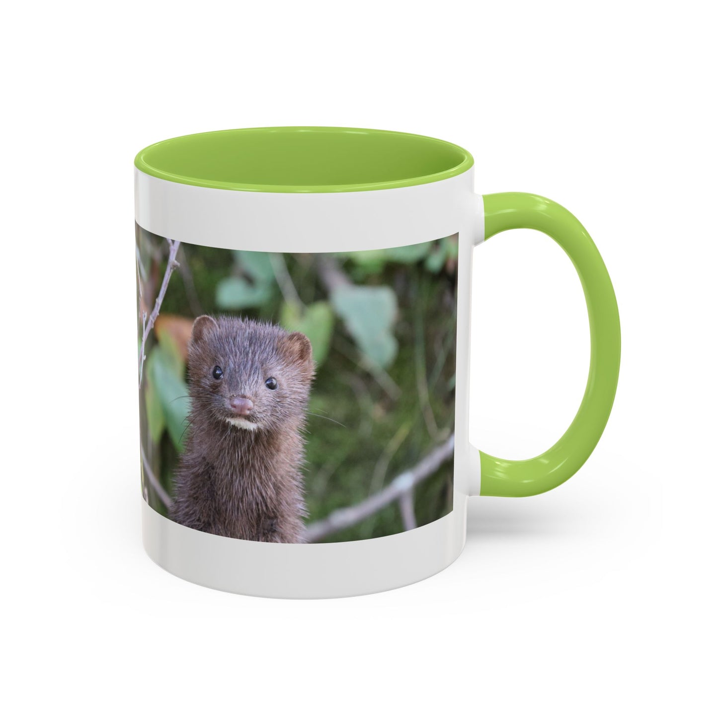 Cute Mink Photo Accent Mug – Wildlife Photography Coffee Cup (11/15 oz)