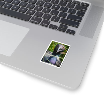 Common Loon Sticker — Realistic Bird Photo Vinyl Kiss-Cut Sticker