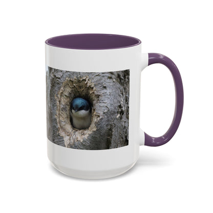 Bluebird in Tree Cavity Accent Coffee Mug — Nature Wildlife Ceramic Mug (11/15oz)