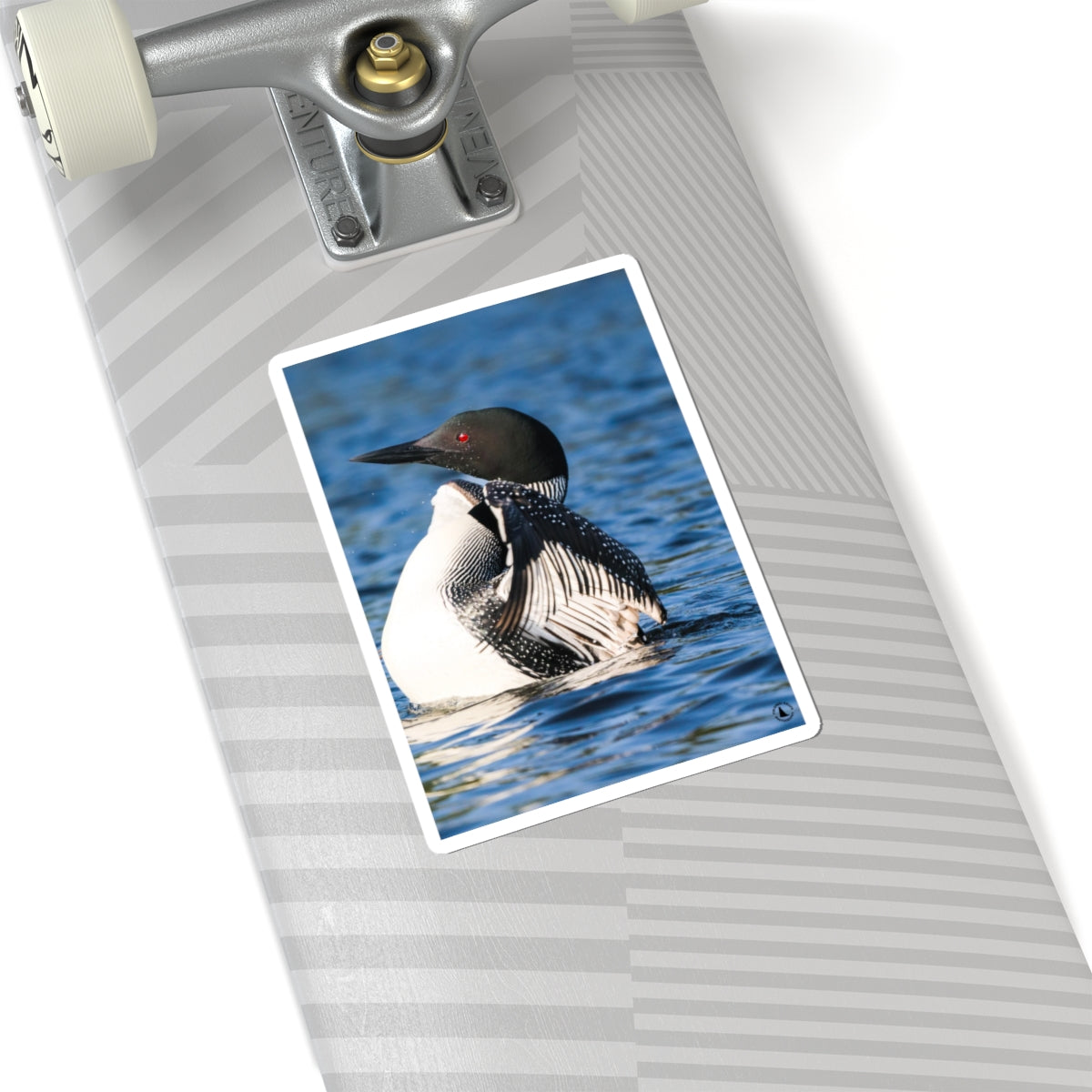 Common Loon Kiss-Cut Sticker — Realistic Loon Photo Waterproof Sticker for Nature Lovers