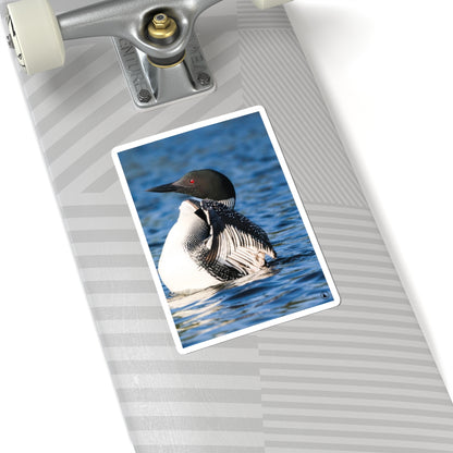 Common Loon Kiss-Cut Sticker — Realistic Loon Photo Waterproof Sticker for Nature Lovers