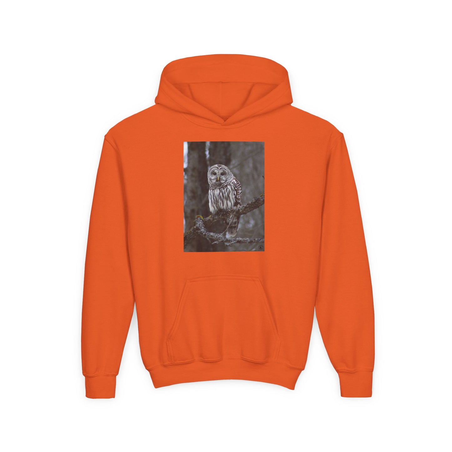 Owl Portrait Youth Hoodie — Realistic Forest Owl Graphic