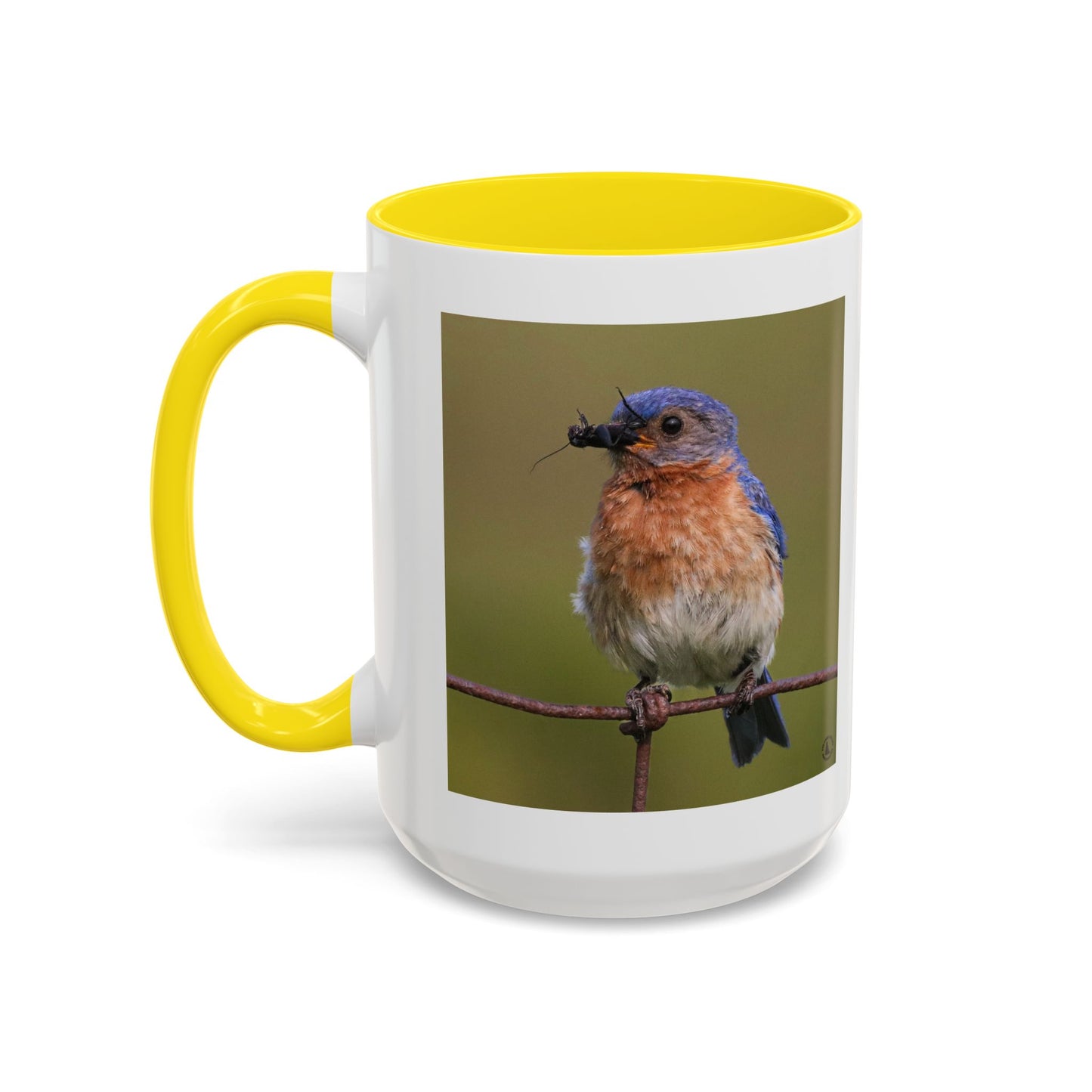 Bluebird Photo Coffee Mug — Eastern Bluebird with Insect Accent Mug (11/15 oz)
