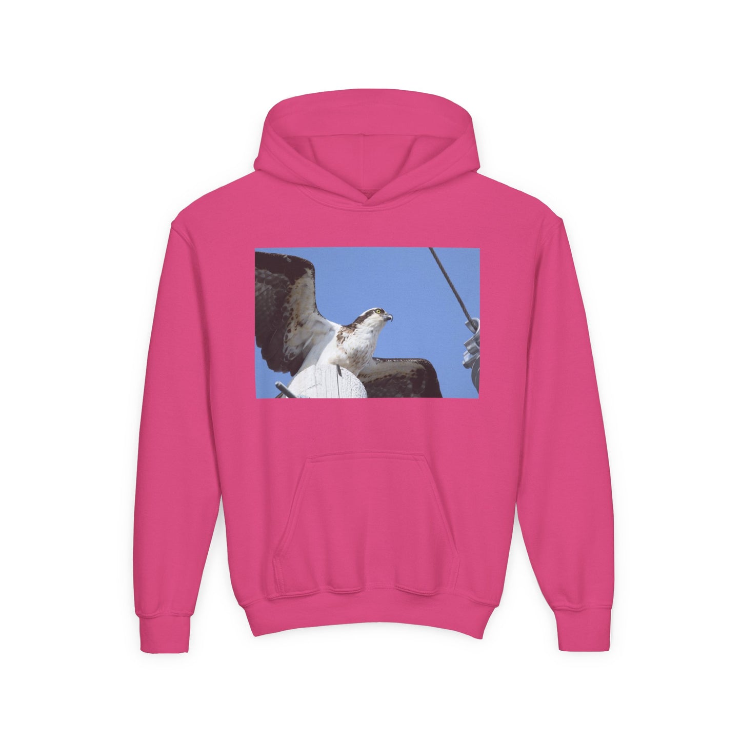 Youth Osprey Photo Hoodie — Kids Birdwatching Nature Pullover