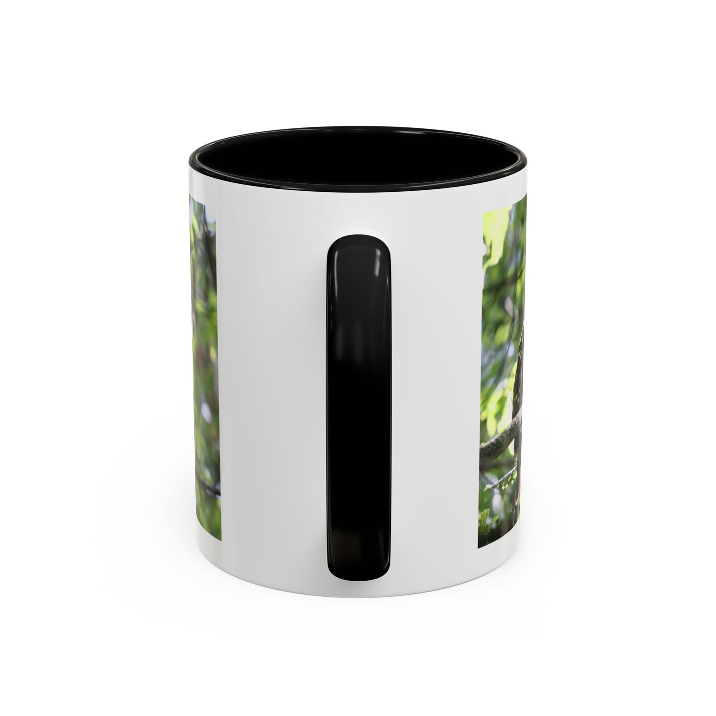 Hawk Perch Accent Coffee Mug (11/15 oz) – Nature Bird Photography